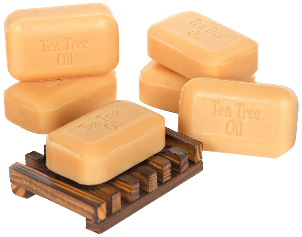 THE SOAP WORKS tea tree soap front packaging and wood dish showing durability