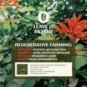 Thrive Natural Care cream texture close-up showing smooth, fast-absorbing finish
