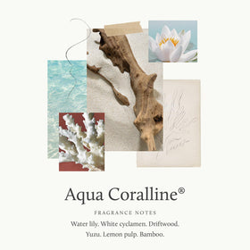 Thymes applying lotion to skin, smooth conditioning and non-greasy benefit