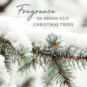 Thymes Frasier Fir in bathroom lifestyle scene adding warm evergreen ambience