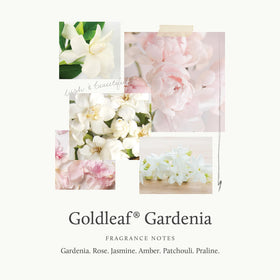 Thymes Goldleaf Gardenia shea butter ingredient close-up highlighting deep hydration