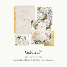 Creamy lather texture from Thymes Goldleaf hand wash demonstrating hydrating, gentle cleanse