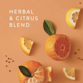 Thymes lotion applied to hands demonstrating smooth, non-greasy finish