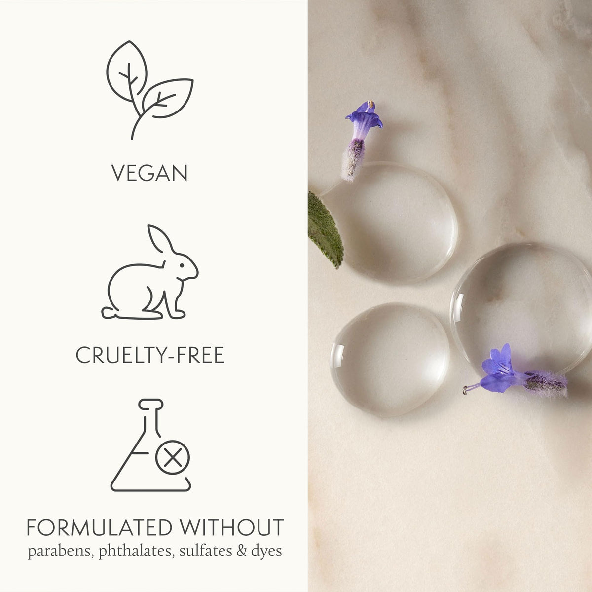 Thymes label and ingredients view showing key actives and transparency benefit