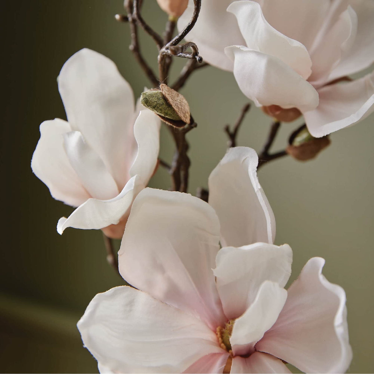 Thymes pump close-up demonstrating easy dispensing and controlled usage benefit