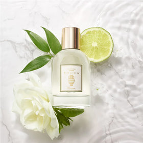 Tocca Florence hair use application showing fragrance layering without weighing hair