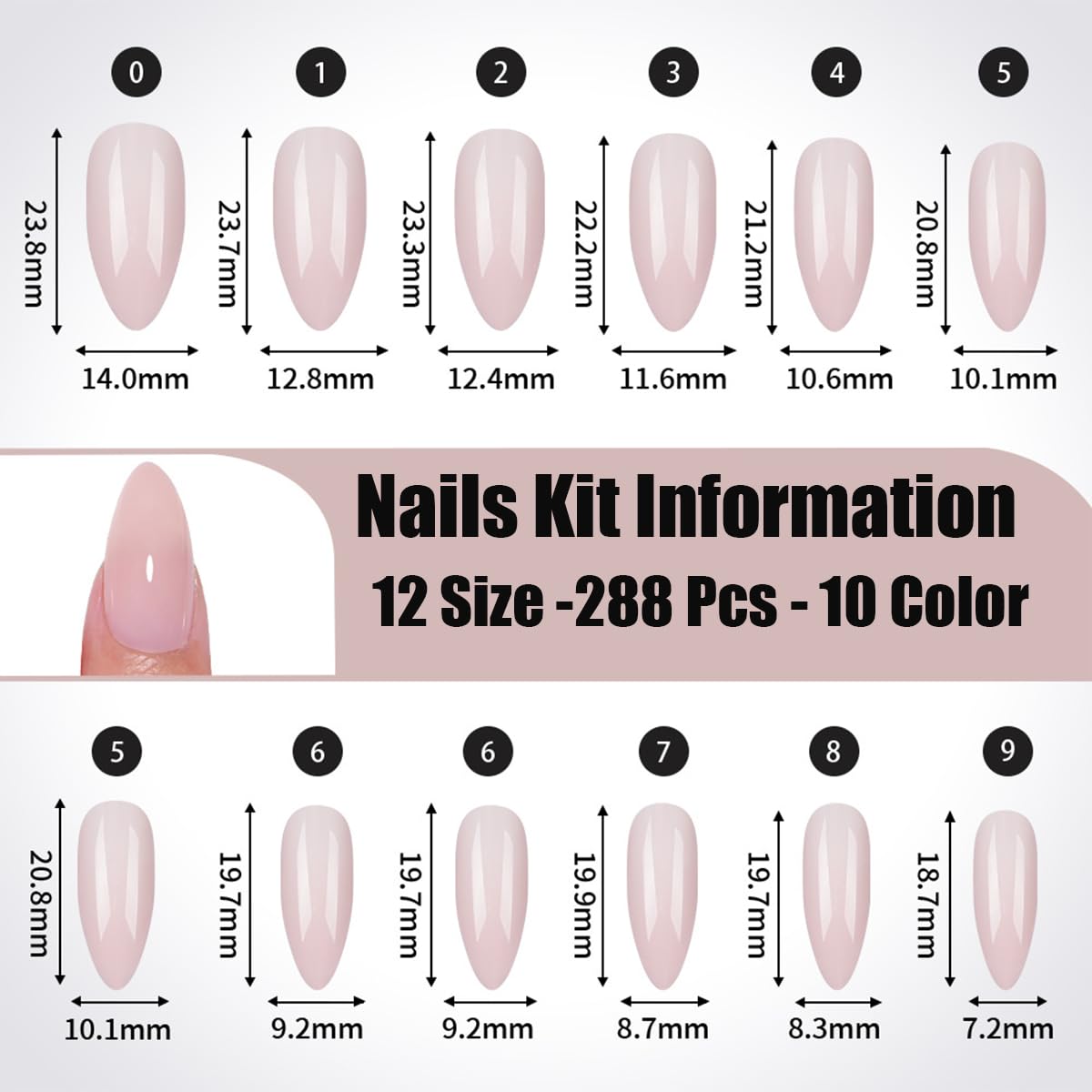 TOGZOM size layout and sizes showing 12 sizes for accurate nail fitting
