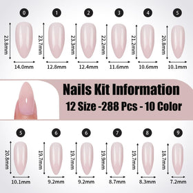 TOGZOM size layout and sizes showing 12 sizes for accurate nail fitting