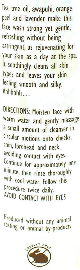 Trader Joe's spa face wash pump and label close-up highlighting ingredients and easy dispensing