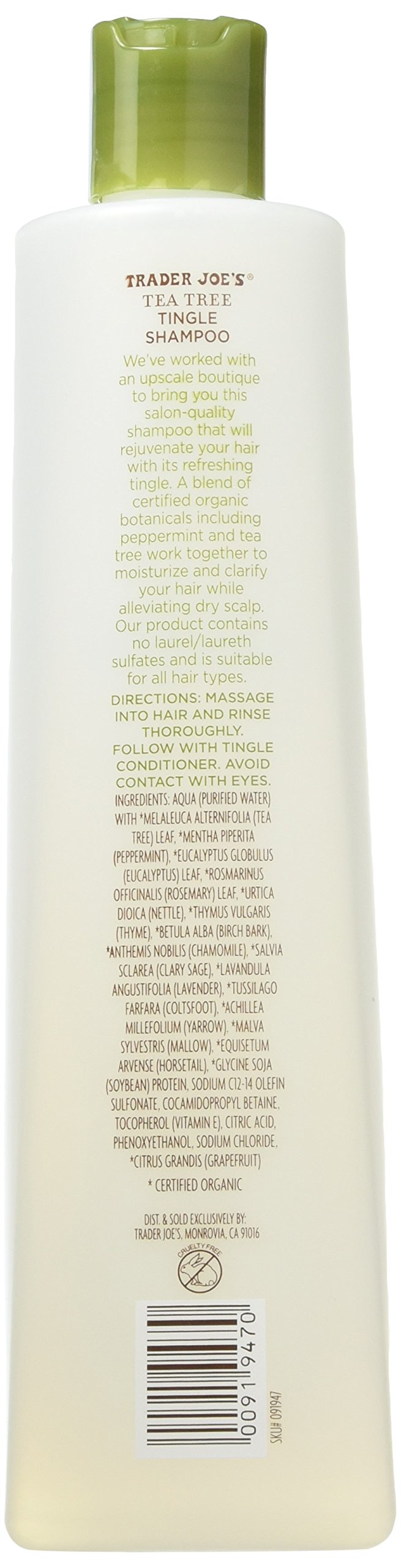 Trader Joe's shampoo texture close-up on hand showing lather and cooling peppermint benefit