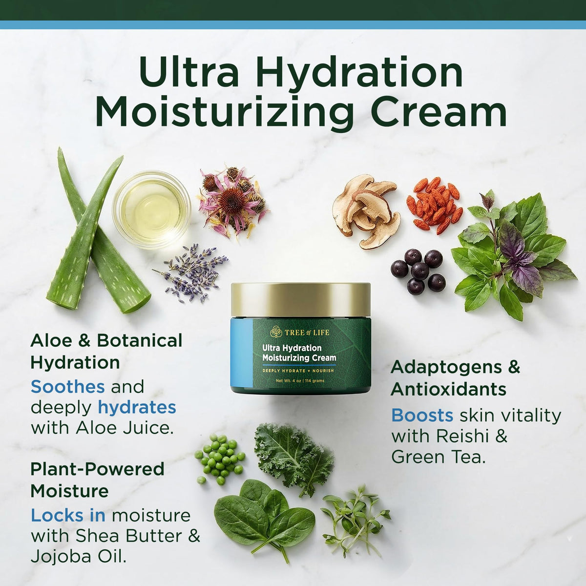 Tree of Life Beauty cream texture close-up highlighting smooth absorbent texture