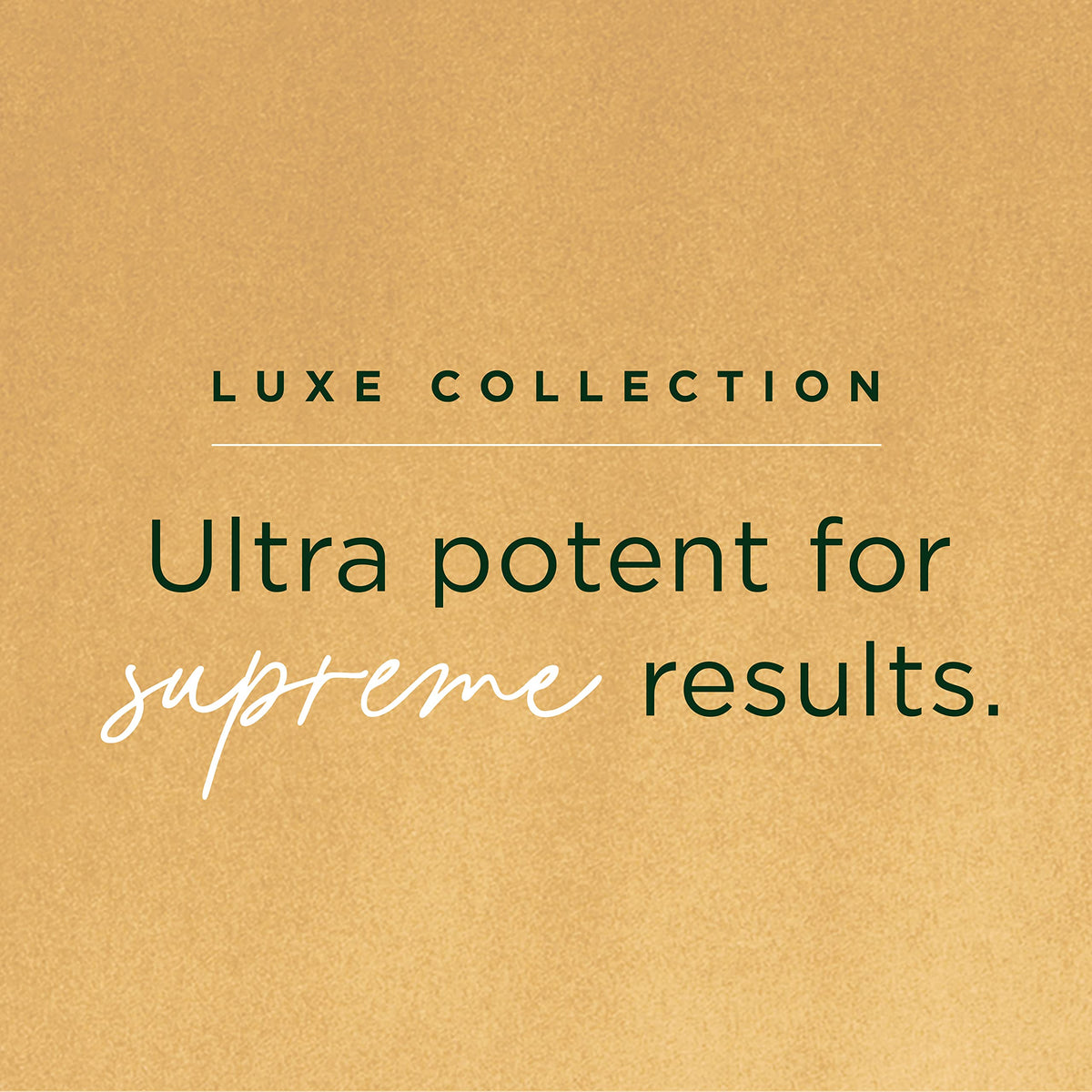 Tree of Life Evening Youth dropper detail showing concentrated nourishment benefit
