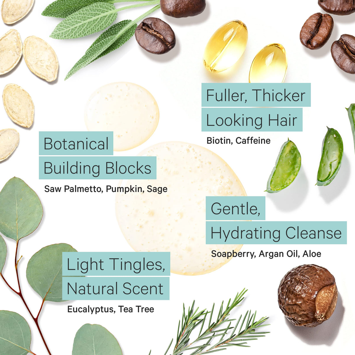 Tree To Tub close-up of argan and tea tree ingredients for nourishment