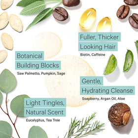 Tree To Tub close-up of argan and tea tree ingredients for nourishment