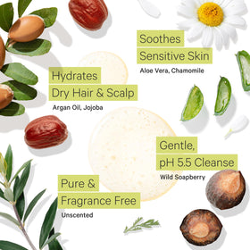 Tree To Tub soapberry close-up showing natural cleanser benefits