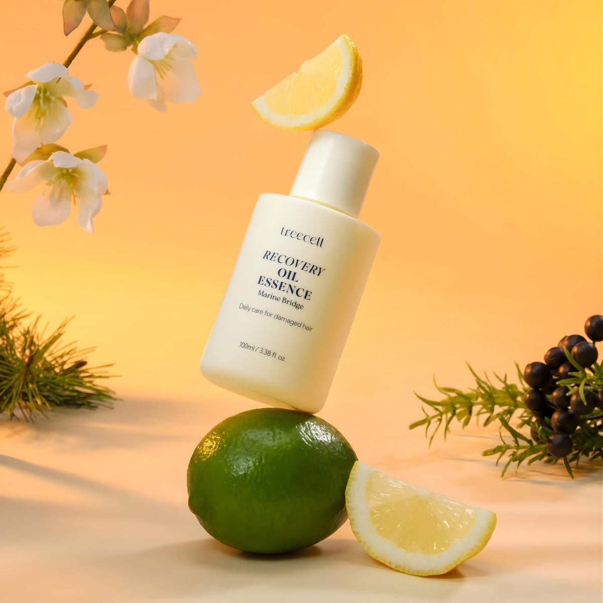 TREECELL with jojoba seed visual indicating natural oil nourishment benefit