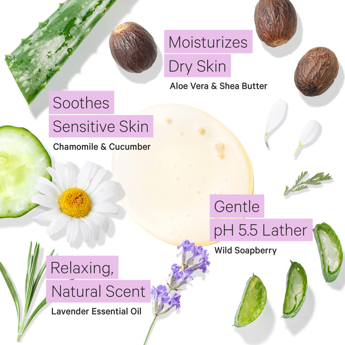 Tree To Tub shea butter and aloe ingredients highlighting soothing hydration