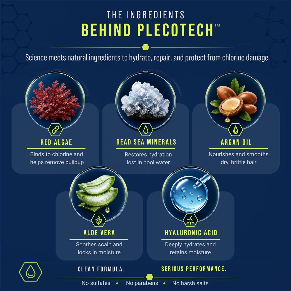 TRIHARD Dead Sea minerals and red algae visualizing nourishing ingredient profile