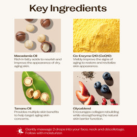 Tamanu seeds with Trilogy oil hinting at restorative nourishment benefit