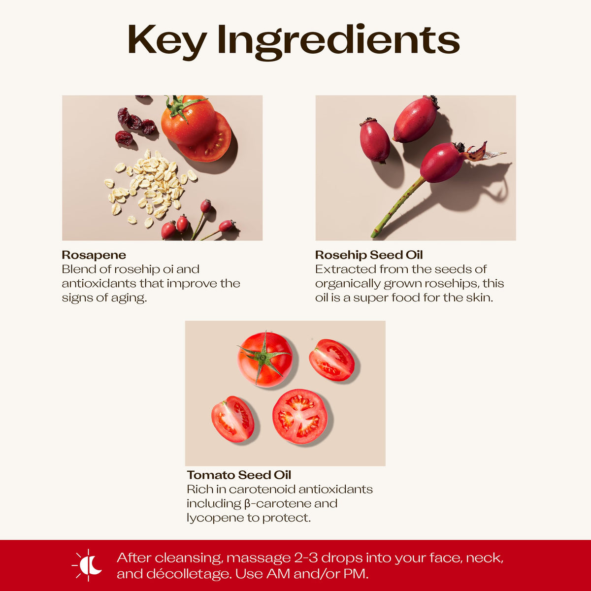 Trilogy ingredients flatlay including rosehip and oat extract highlighting organic blend
