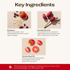 Trilogy ingredients flatlay including rosehip and oat extract highlighting organic blend