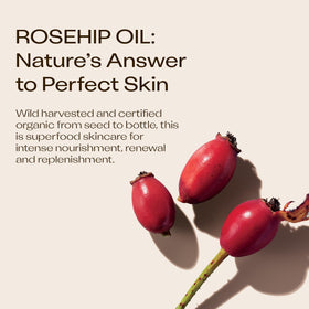 Person applying Trilogy rosehip oil to hand demonstrating easy absorption