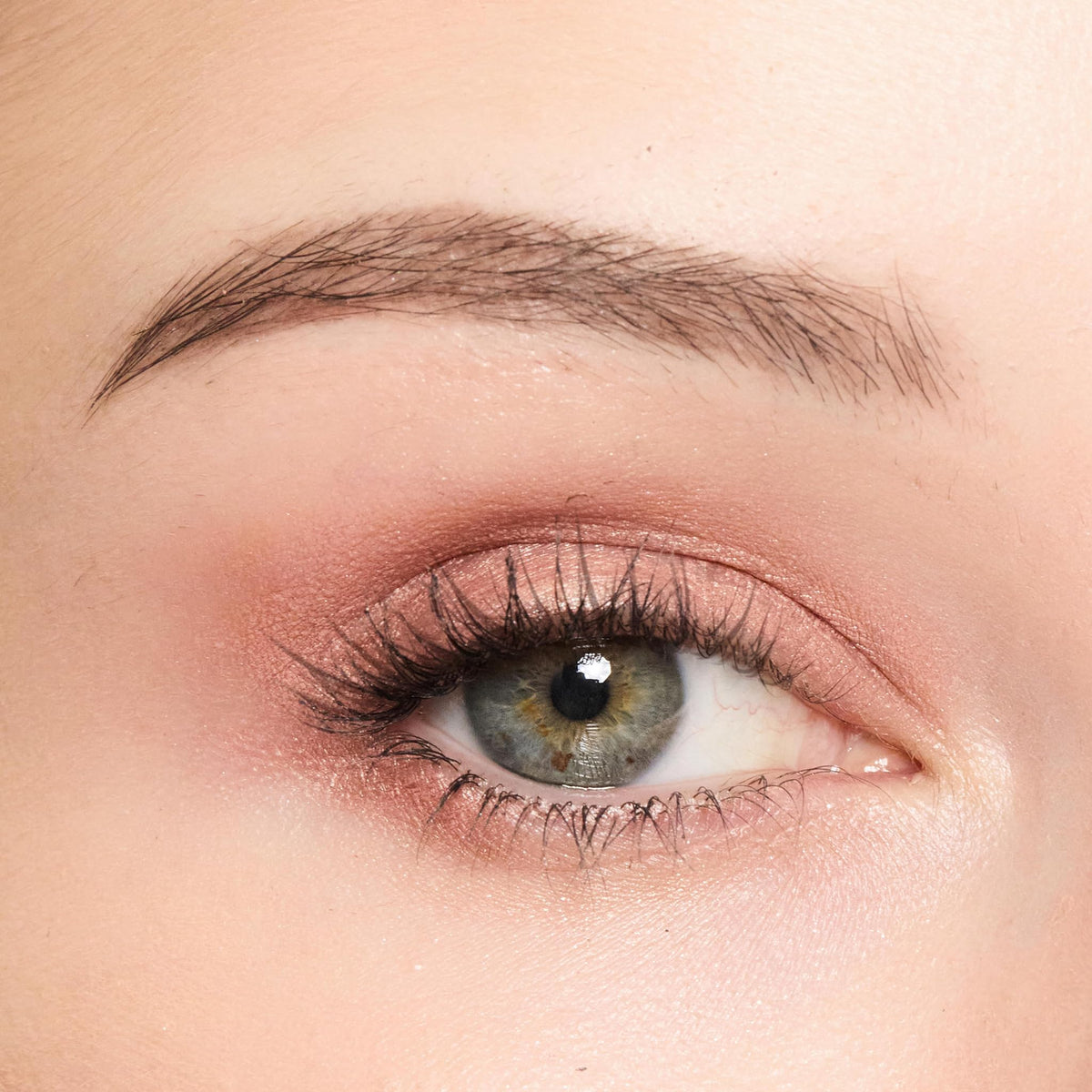 Trish McEvoy product applied on eyelid demonstrating crease-resistant color benefit