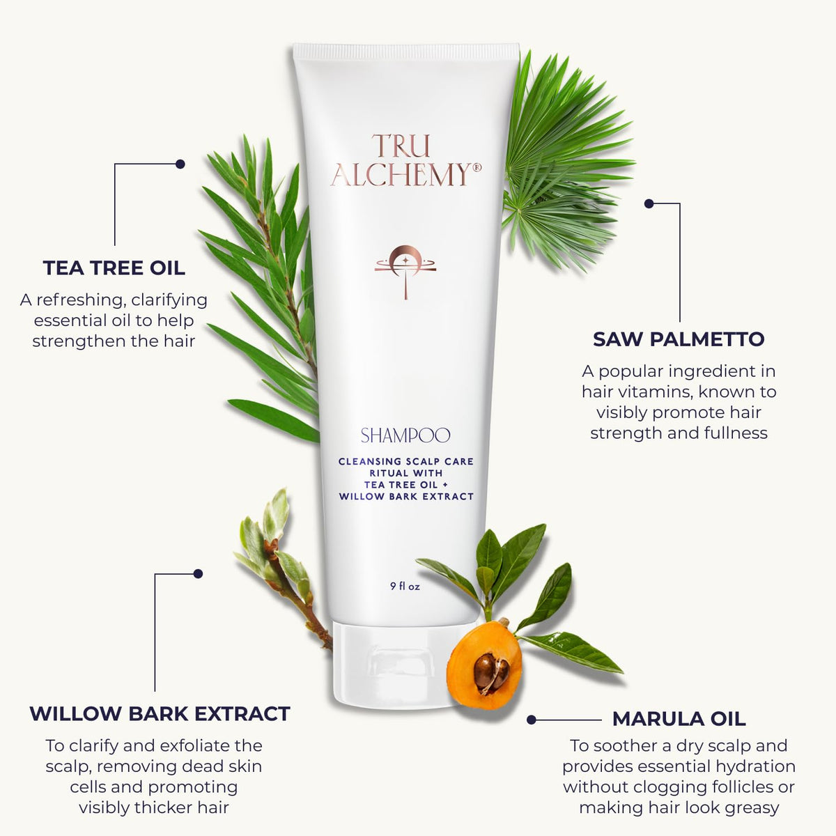 Tru Alchemy natural ingredients display highlighting scalp support