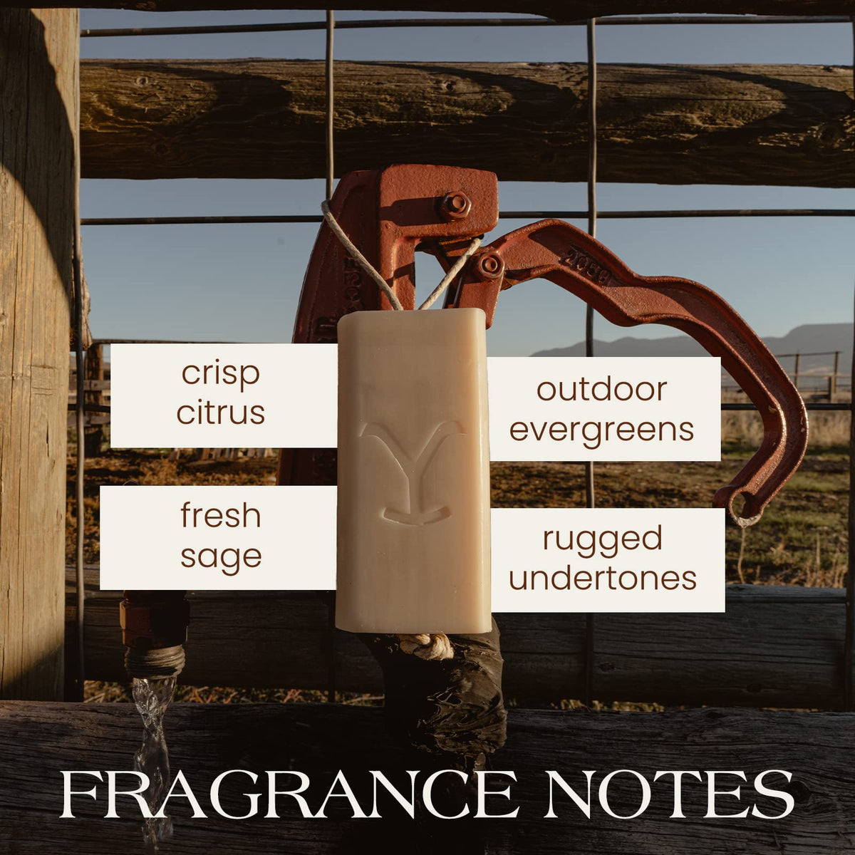 Tru Fragrance Beauty rich creamy lather close-up demonstrating lasting cleansing performance