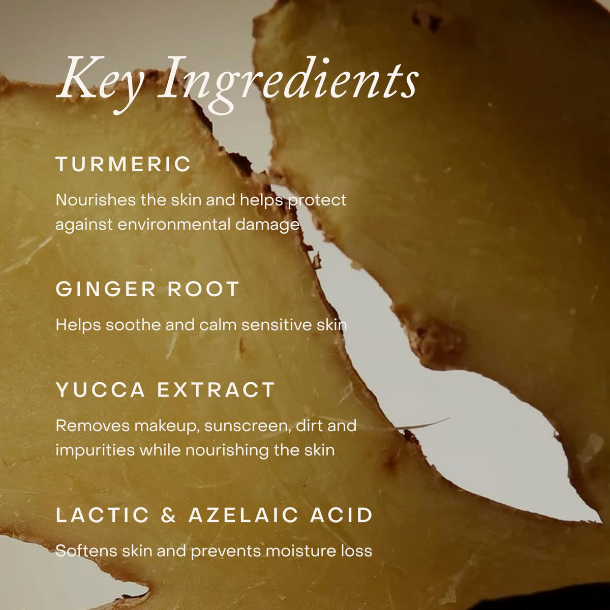 True Botanicals ingredient trio turmeric, ginger, mango showing antioxidant support