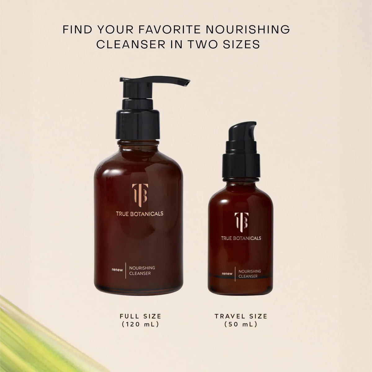 True Botanicals botanical ingredients laid out to show antioxidant-rich sources