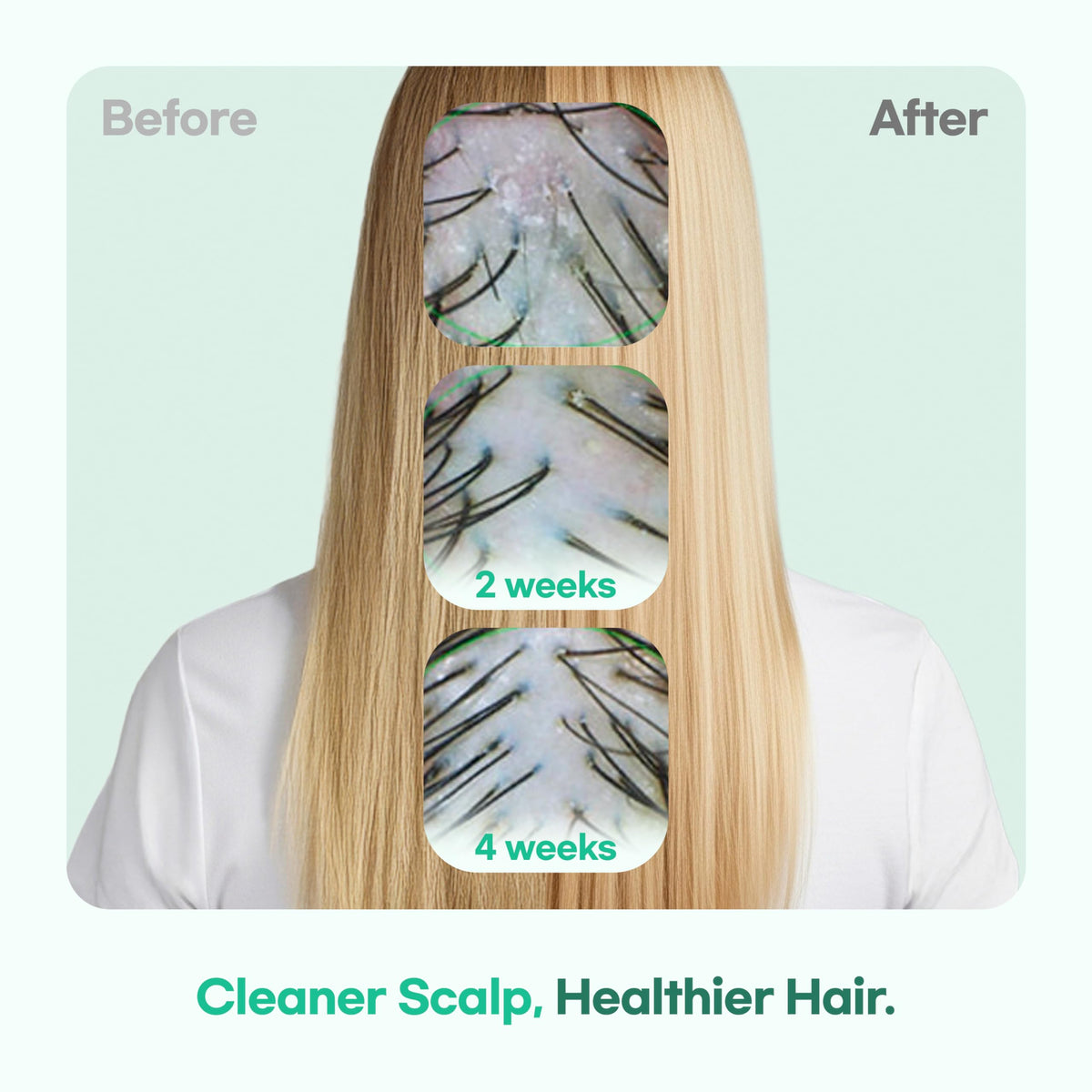 TS SHAMPOO texture close-up demonstrating lightweight, gentle lather