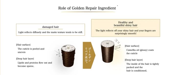 Generic Tsubakii size comparison with everyday items illustrating 400ml/400g scale benefit