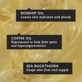 UpCircle coffee beans and oil close-up, showcasing repurposed coffee ingredient benefits