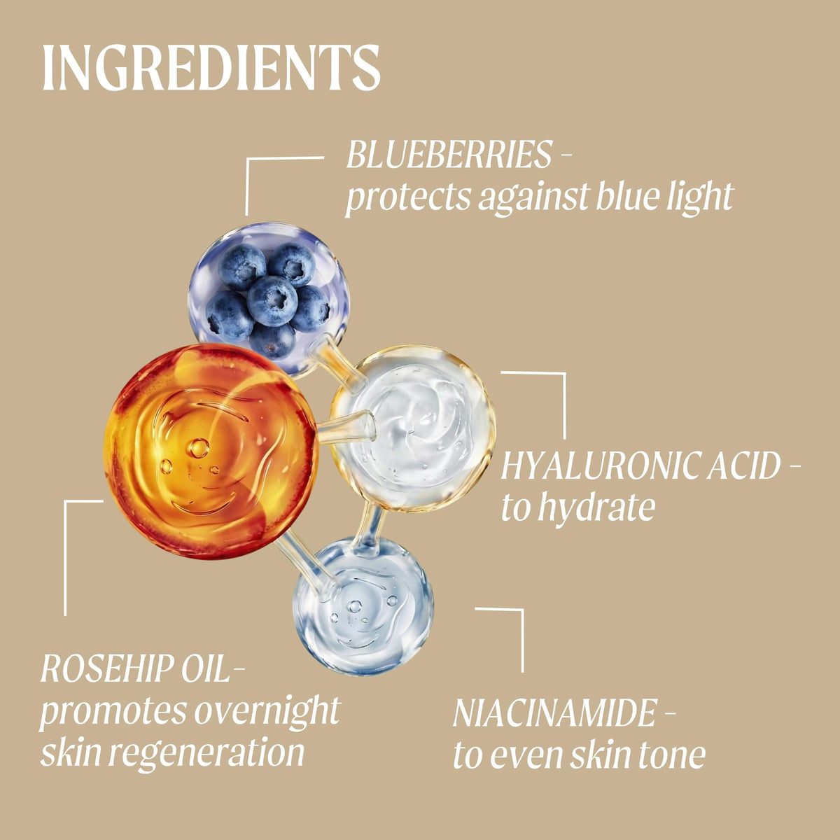 UPCIRCLE repurposed blueberry close-up highlighting antioxidant benefit