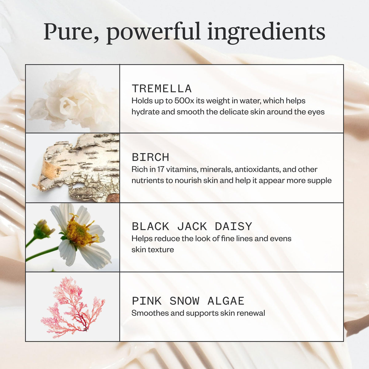 Ursa Major botanical chaga birch tremella trio illustrating natural brightening benefits
