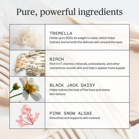 Ursa Major botanical chaga birch tremella trio illustrating natural brightening benefits