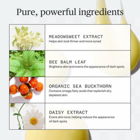 Ursa Major smooth golden serum texture close-up for fast absorption