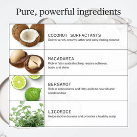 Ursa Major macadamia nut ingredient close-up highlighting nourishment benefit