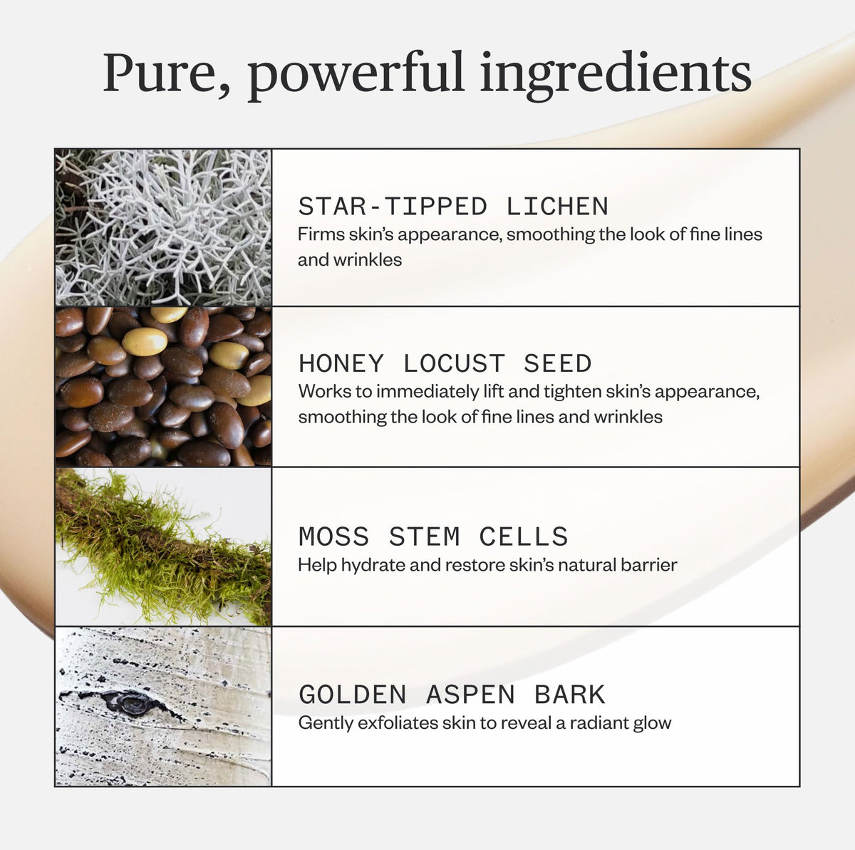 Ursa Major texture close-up cream-to-oil absorbs quickly