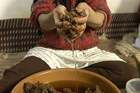 US Organic bottle next to argan nuts highlighting Moroccan origin