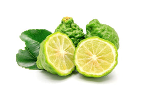 US Organic oil texture close-up highlighting pure, undiluted bergamot aroma profile