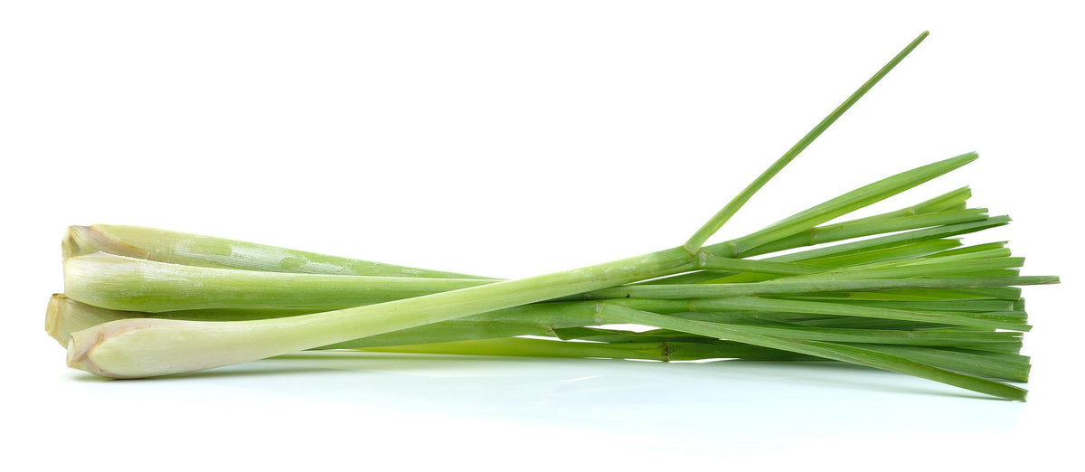 US Organic bottle beside fresh lemongrass plant showing botanical sourcing benefit