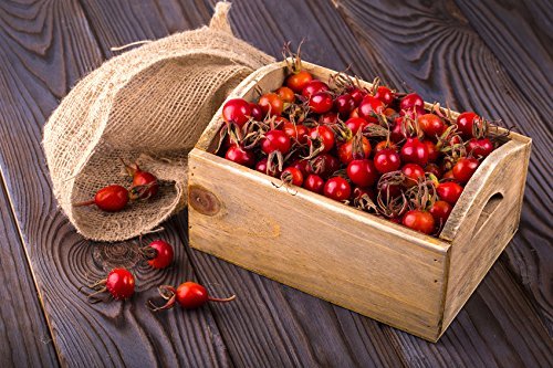 US Organic bottle with rose hips illustrating botanical origin and freshness