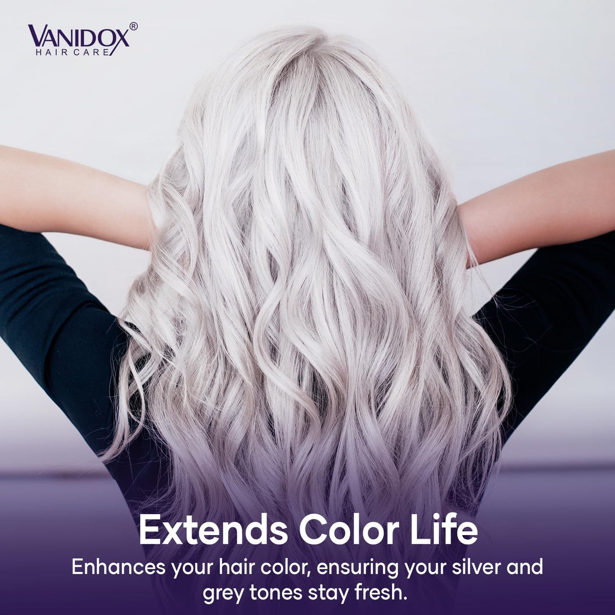 VANIDOX before and after image illustrating reduced brassiness and cooler silver tones