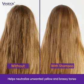 VANIDOX shampoo paired with matching conditioner on bench for complete care routine