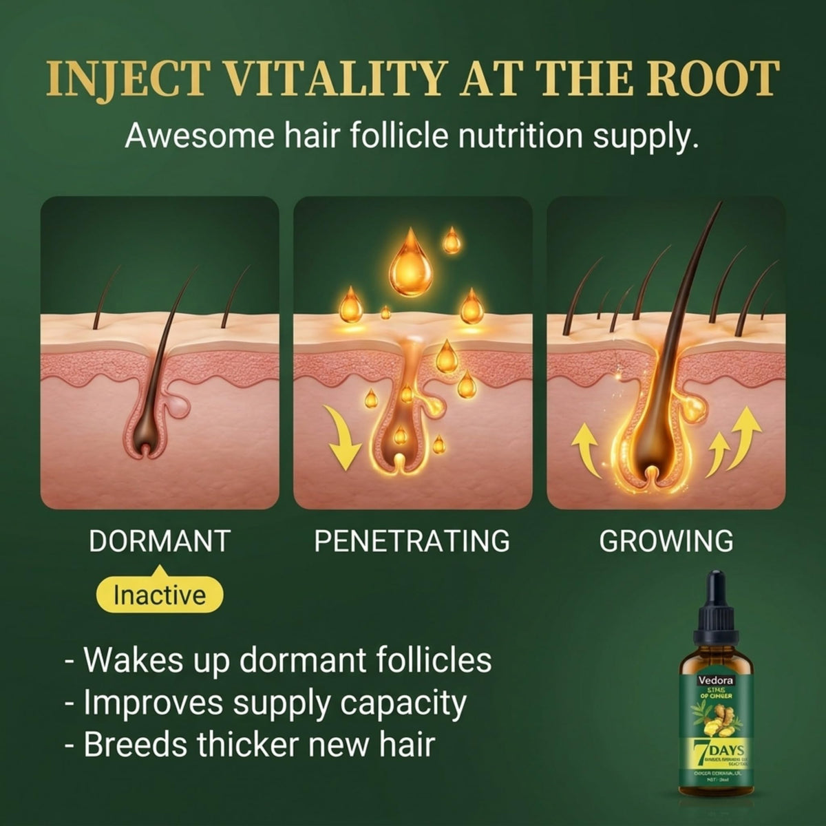 Fresh ginger root next to Vedora bottle, emphasizing ginger ingredient benefits