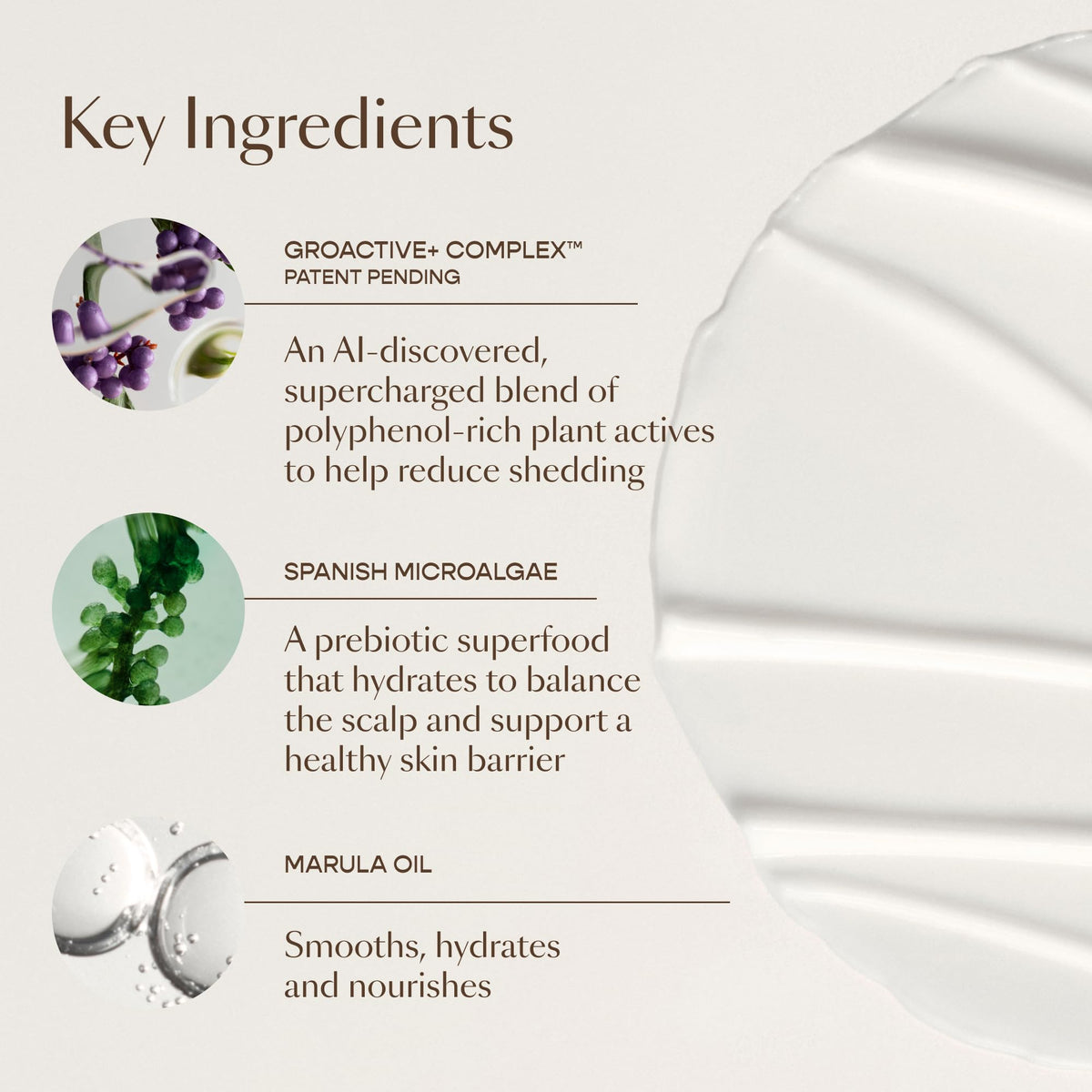 vegamour botanical ingredients flatlay highlighting plant-powered formula