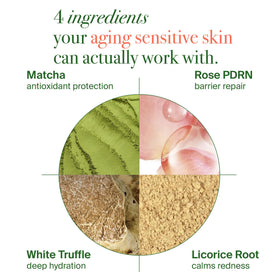 VELVENTE cream application on hand demonstrating lightweight hydration benefit