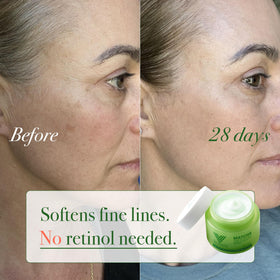 VELVENTE ingredients display with matcha and white truffle highlighting antioxidant nourishment